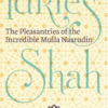Wholly Nasrudin