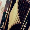 Accordion Dreams