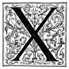 The Letter X