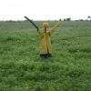 Scarecrows